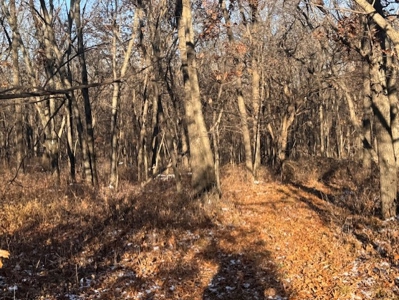 40 Acres - Timber, Hunting, Trails - Dekalb County Missouri - image 17