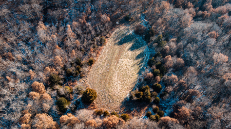40 Acres - Timber, Hunting, Trails - Dekalb County Missouri - image 10