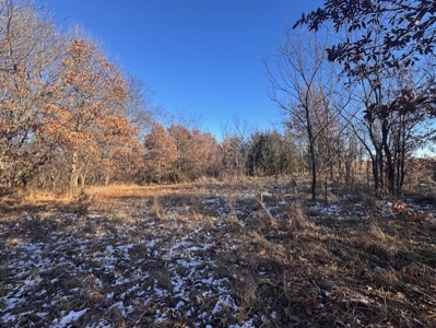 40 Acres - Timber, Hunting, Trails - Dekalb County Missouri - image 15