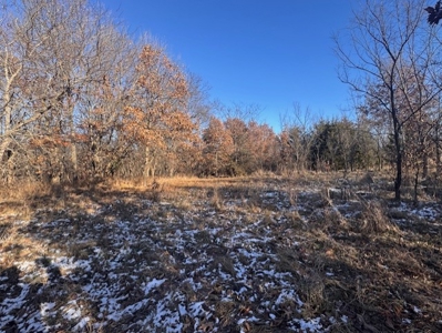 40 Acres - Timber, Hunting, Trails - Dekalb County Missouri - image 14
