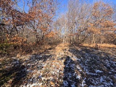 40 Acres - Timber, Hunting, Trails - Dekalb County Missouri - image 12