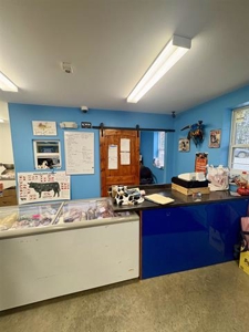 Custom & Retail Butcher Shop for sale in Sharp County Arkansas - image 4