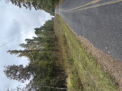 10.5± Acres Wooded Land in Miller Co, AR | Build-Ready with Power - image 3