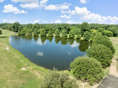 Luxury Country Estate on 26.78± Acres with Equestrian Amenities - image 6