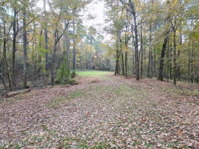 Roxie Mississippi - 94 Acre Recreational Retreat - image 1