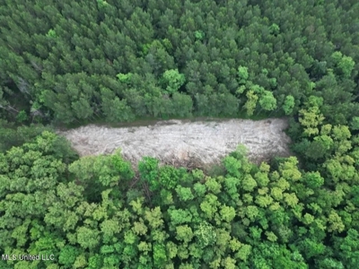 Roxie Mississippi - 94 Acre Recreational Retreat - image 8