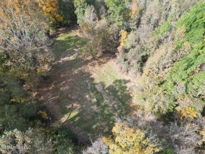 Roxie Mississippi - 94 Acre Recreational Retreat - image 34