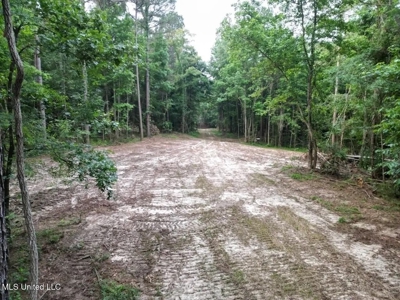 Roxie Mississippi - 94 Acre Recreational Retreat - image 6