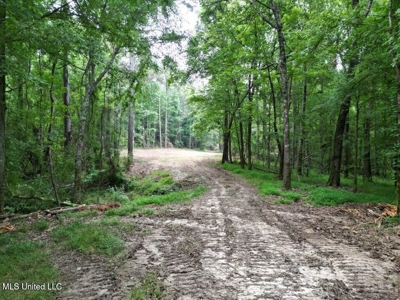 Roxie Mississippi - 94 Acre Recreational Retreat - image 23