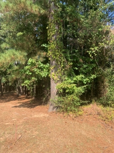 .53 Acre Home site in Texarkana, Texas - image 3