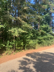 .53 Acre Home site in Texarkana, Texas - image 1