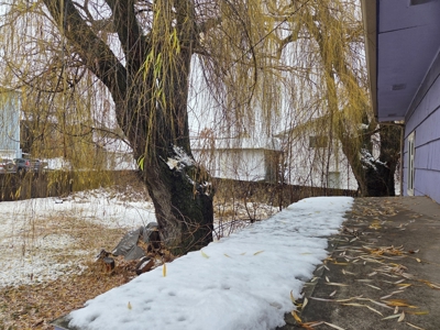 Home for Sale in Town in Moscow, Id. - image 36