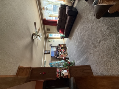 Charming 1951 Brick Home on Double Lot in Mount Ayr - image 8