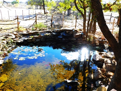 Ranch in Brown County Texas with Home for Sale - image 33