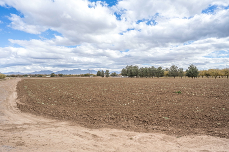 Land for Sale in the Valley of Las Cruces, New Mexico - image 16