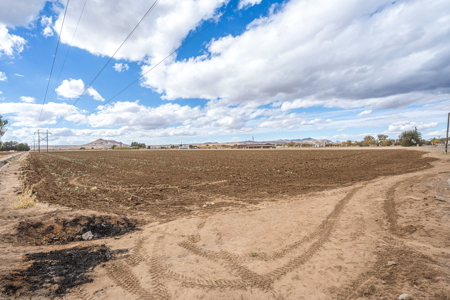 Land for Sale in the Valley of Las Cruces, New Mexico - image 13