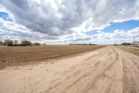 Land for Sale in the Valley of Las Cruces, New Mexico - image 12