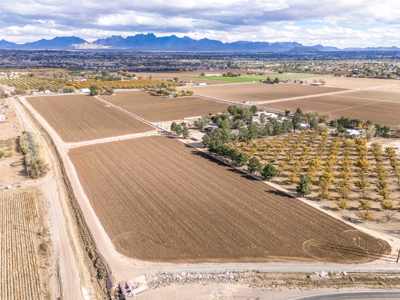 Land for Sale in the Valley of Las Cruces, New Mexico - image 10