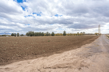 Land for Sale in the Valley of Las Cruces, New Mexico - image 17