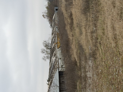 For Sale 40 Acres Homestead, Recreational Property In Need Of Tlc - image 13