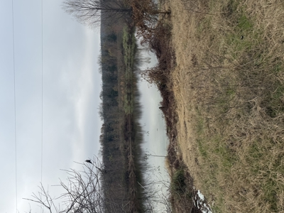 For Sale 40 Acres Homestead, Recreational Property In Need Of Tlc - image 14