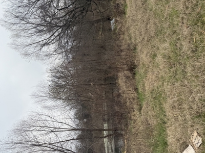 For Sale 40 Acres Homestead, Recreational Property In Need Of Tlc - image 10