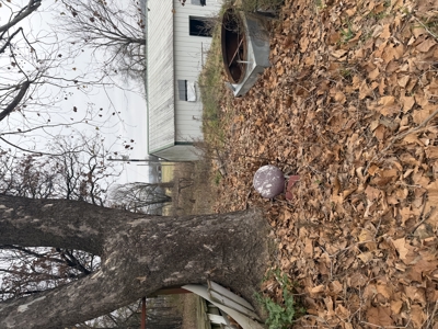 For Sale 40 Acres Homestead, Recreational Property In Need Of Tlc - image 23