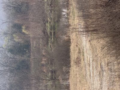 For Sale 40 Acres Homestead, Recreational Property In Need Of Tlc - image 15