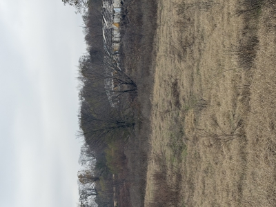 For Sale 40 Acres Homestead, Recreational Property In Need Of Tlc - image 6