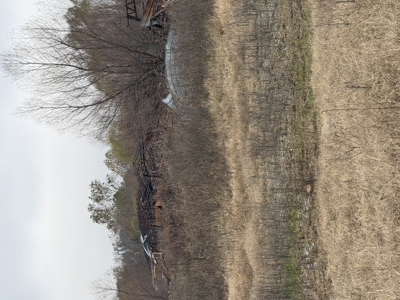 For Sale 40 Acres Homestead, Recreational Property In Need Of Tlc - image 12