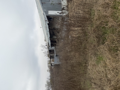 For Sale 40 Acres Homestead, Recreational Property In Need Of Tlc - image 9