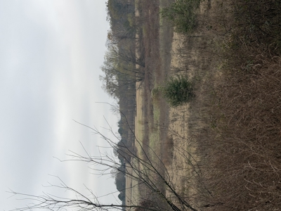 For Sale 40 Acres Homestead, Recreational Property In Need Of Tlc - image 8