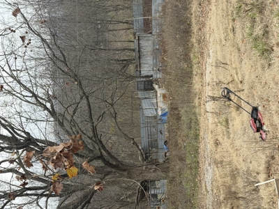 For Sale 40 Acres Homestead, Recreational Property In Need Of Tlc - image 26