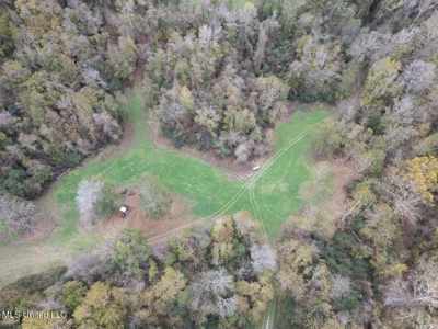 Woodville, MS - 40 Acres with Income-Producing Camp - image 2
