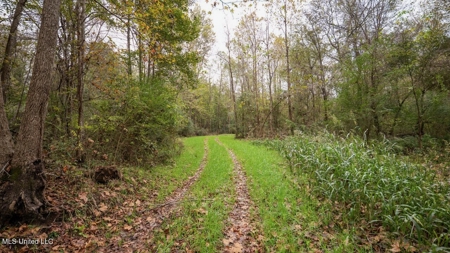 Woodville, MS - 40 Acres with Income-Producing Camp - image 41