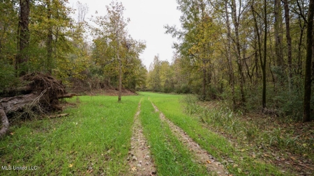 Woodville, MS - 40 Acres with Income-Producing Camp - image 44