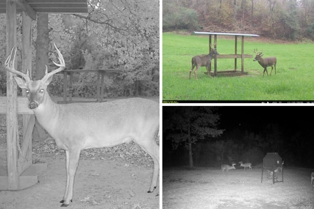 Woodville, MS - 40 Acres with Income-Producing Camp - image 50