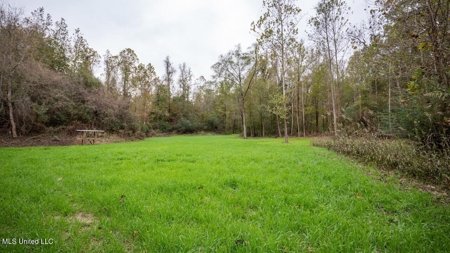 Woodville, MS - 40 Acres with Income-Producing Camp - image 42
