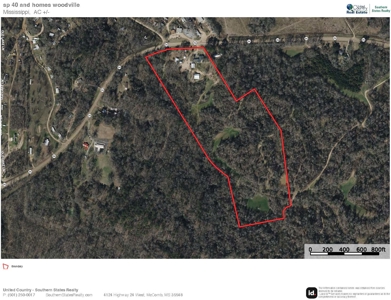 Woodville, MS - 40 Acres with Income-Producing Camp - image 47