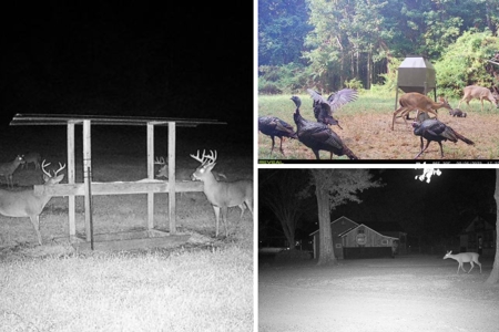 Woodville, MS - 40 Acres with Income-Producing Camp - image 49