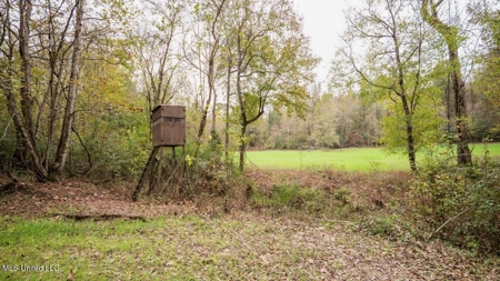 Woodville, MS - 40 Acres with Income-Producing Camp - image 45