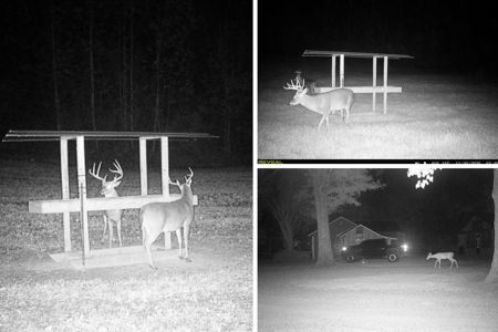 Woodville, MS - 40 Acres with Income-Producing Camp - image 48