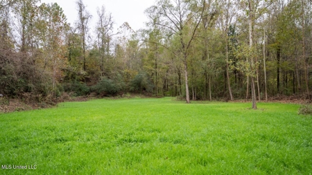 Woodville, MS - 40 Acres with Income-Producing Camp - image 43