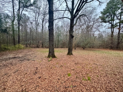 North Mississippi Investment Opportunity - image 17