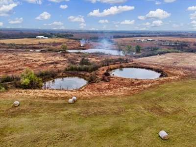 Turnkey Ag Property with Barns, Utilities & Ponds on 40+ Acres - image 9