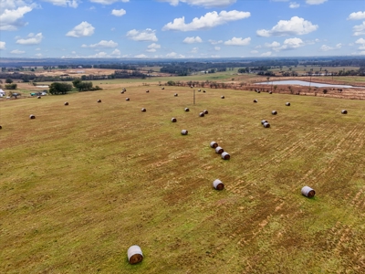 Turnkey Ag Property with Barns, Utilities & Ponds on 40+ Acres - image 10