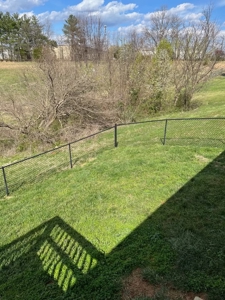 2 bedroom one bath home for sale in Bowling Green, Ky. - image 3