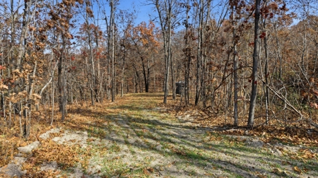 70 Acres Ready to Build Dream Home, Farm or Recreational Spot - image 23