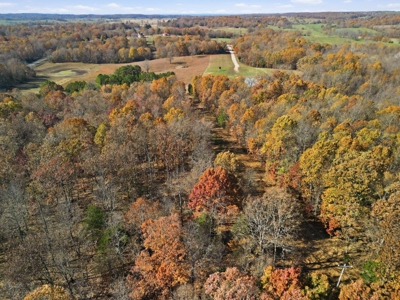 70 Acres Ready to Build Dream Home, Farm or Recreational Spot - image 26