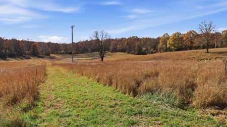 70 Acres Ready to Build Dream Home, Farm or Recreational Spot - image 19
